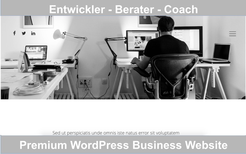 Entwickler - Berater - Coach - Developer - Consultant Premium WordPress Website